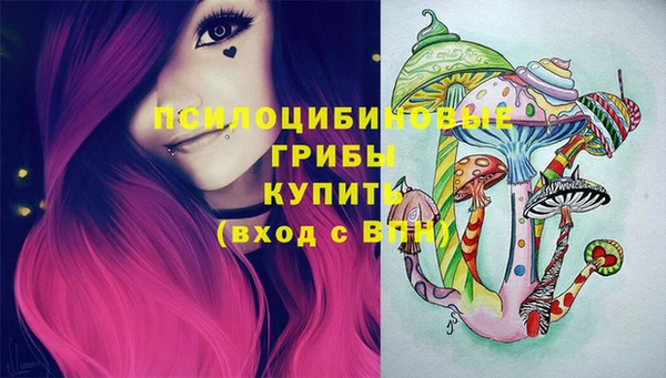 гидропоника Мегион