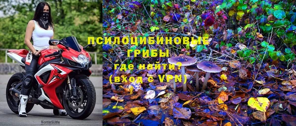 jwh Медвежьегорск
