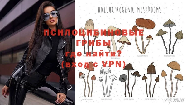 гидропоника Мегион