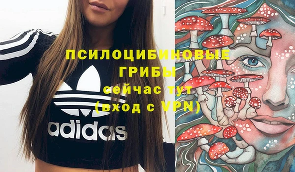 марки lsd Медногорск