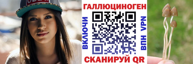 где можно купить   Щёлково  Псилоцибиновые грибы мицелий 